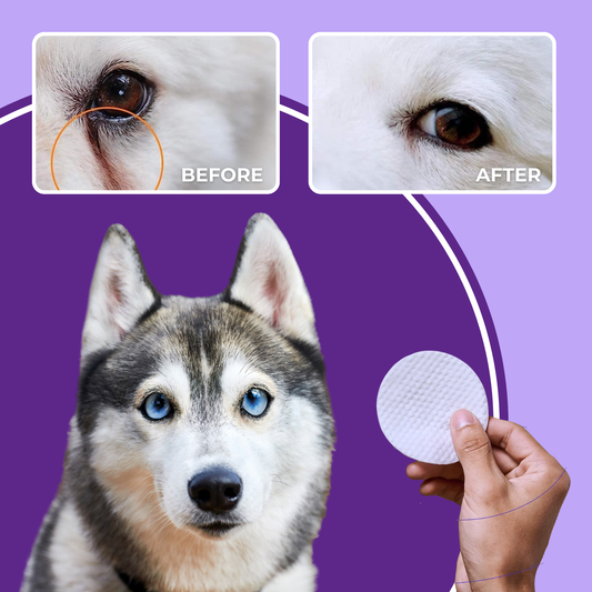 SHINY™ - Dog Eye Cleaning Pads (100pcs)