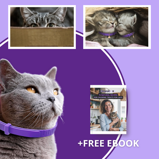 Solace™ Cats - Pheromones Calming Collar