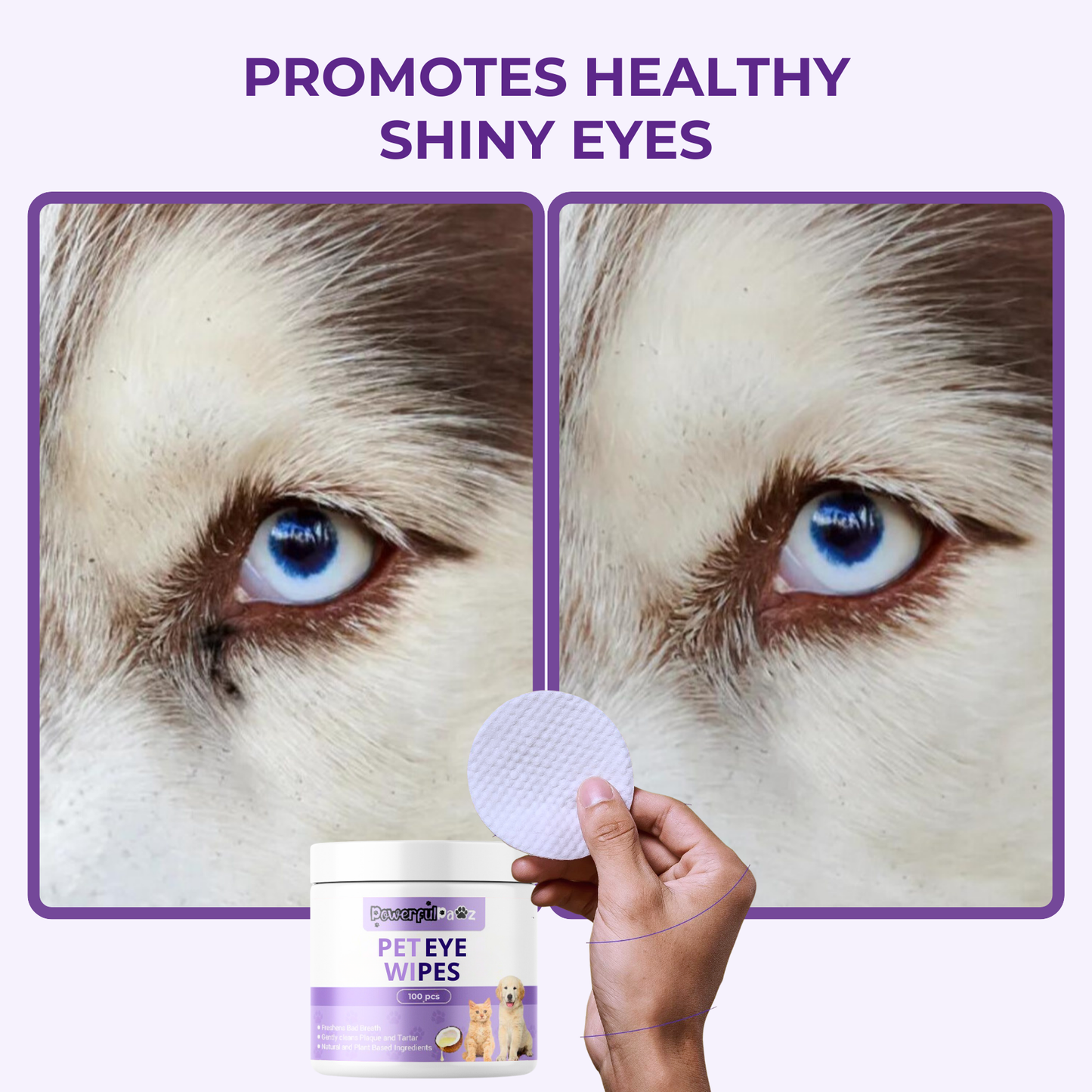 SHINY™ - Dog Eye Cleaning Pads (100pcs)
