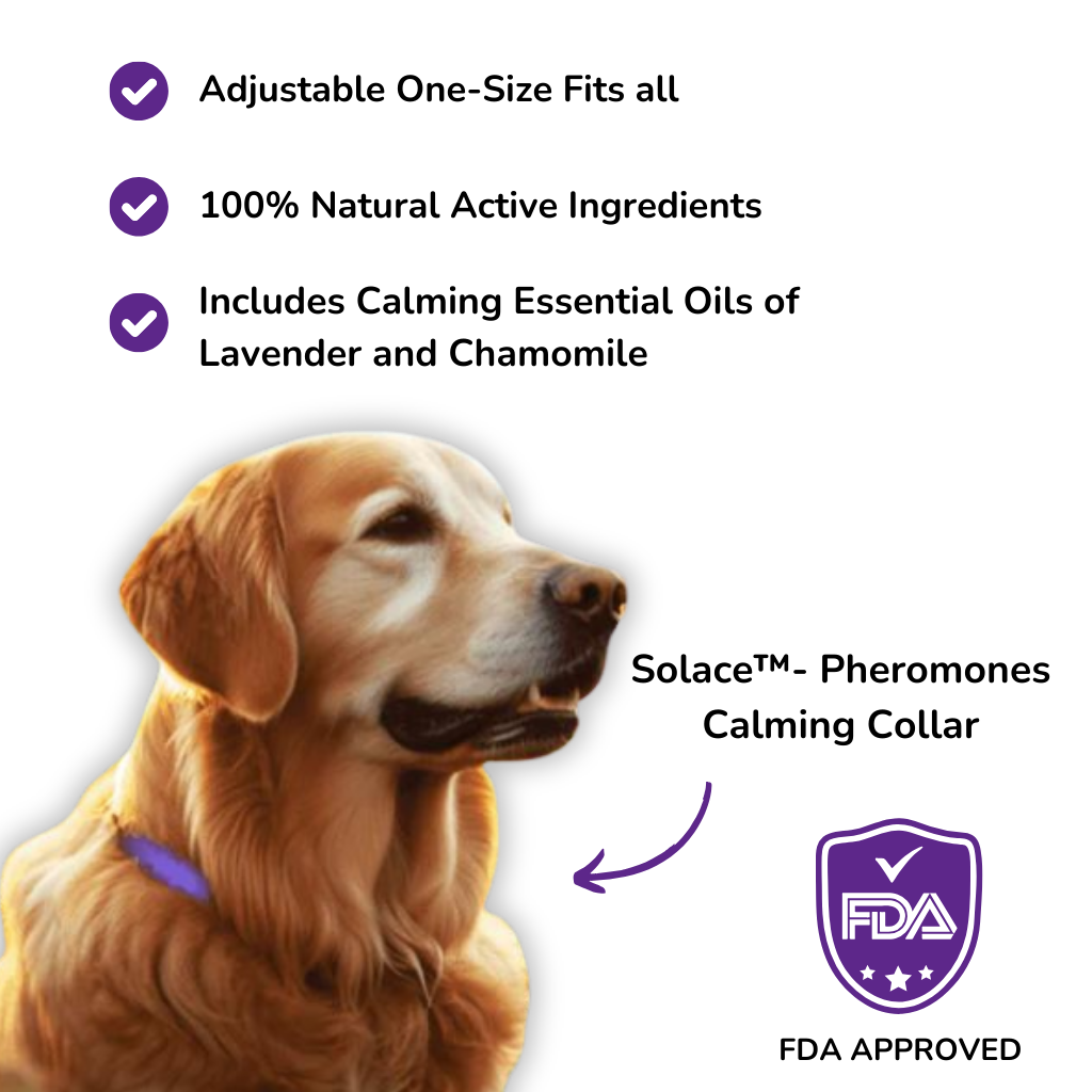 Solace™ Dogs - Pheromones Calming Collar