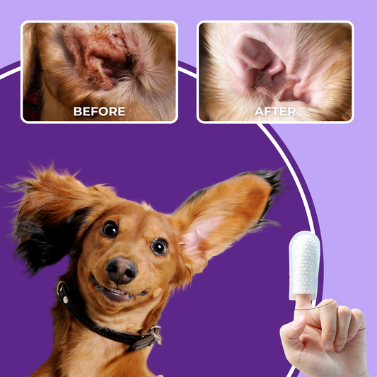 SILKY™ - Dog Ear Cleaning Finger Wipes (50pcs)