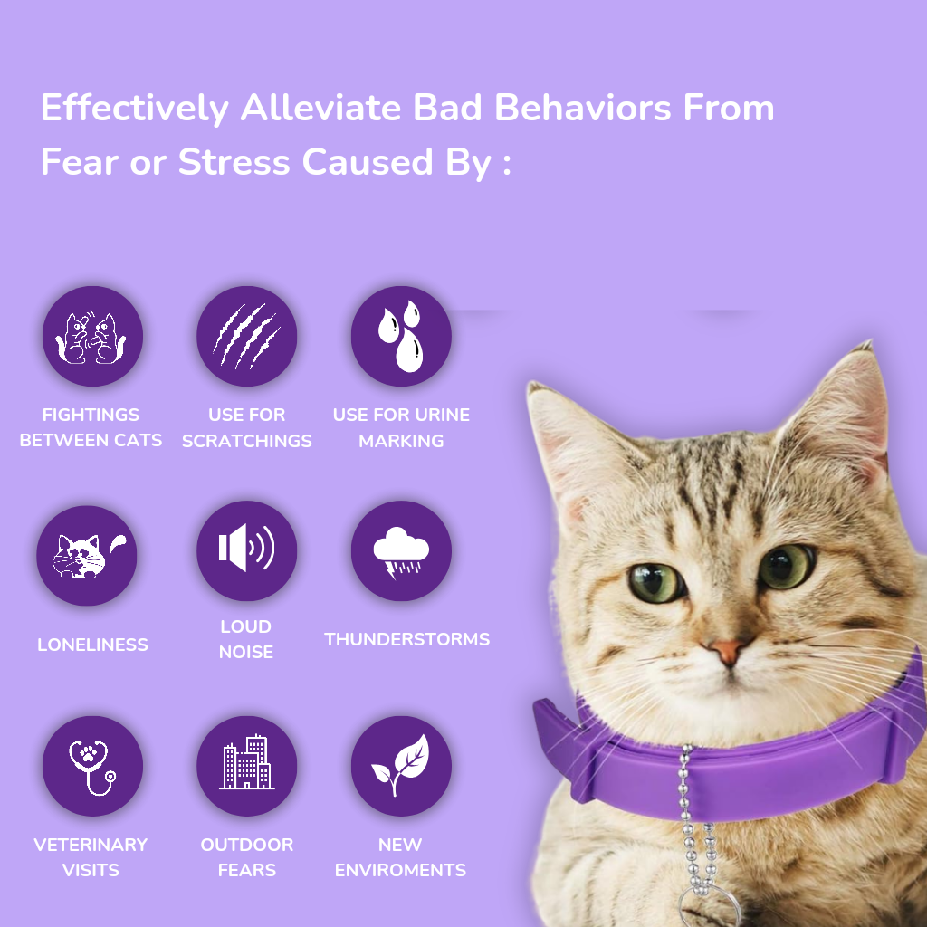 Solace Cats Pheromones Calming Collar Powerful Pawz