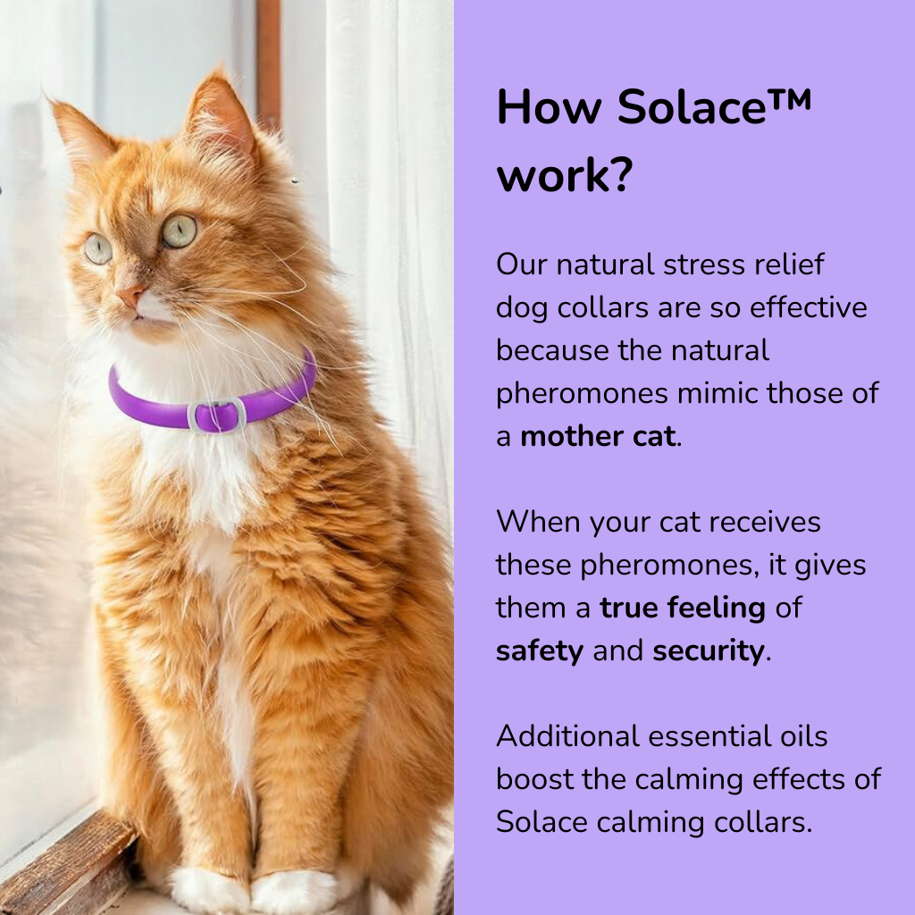 Solace™ Cats - Pheromones Calming Collar