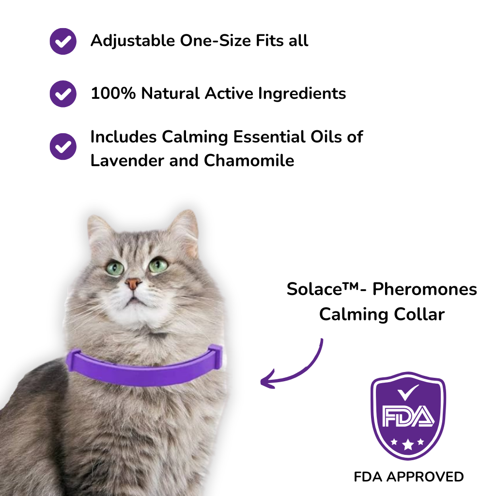 Solace™ Cats - Pheromones Calming Collar