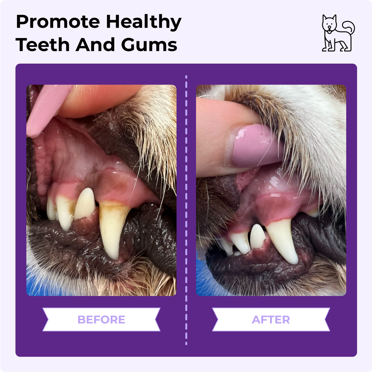 BRUSHY™ - Dog Dental Cleaning Finger Wipes