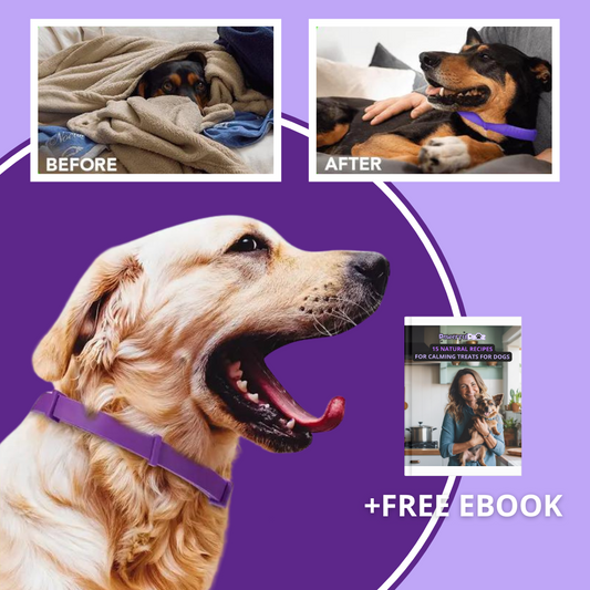Solace™ Dogs - Pheromones Calming Collar