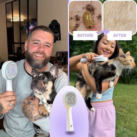 LuxeGlow™ - UV PET GROOMER