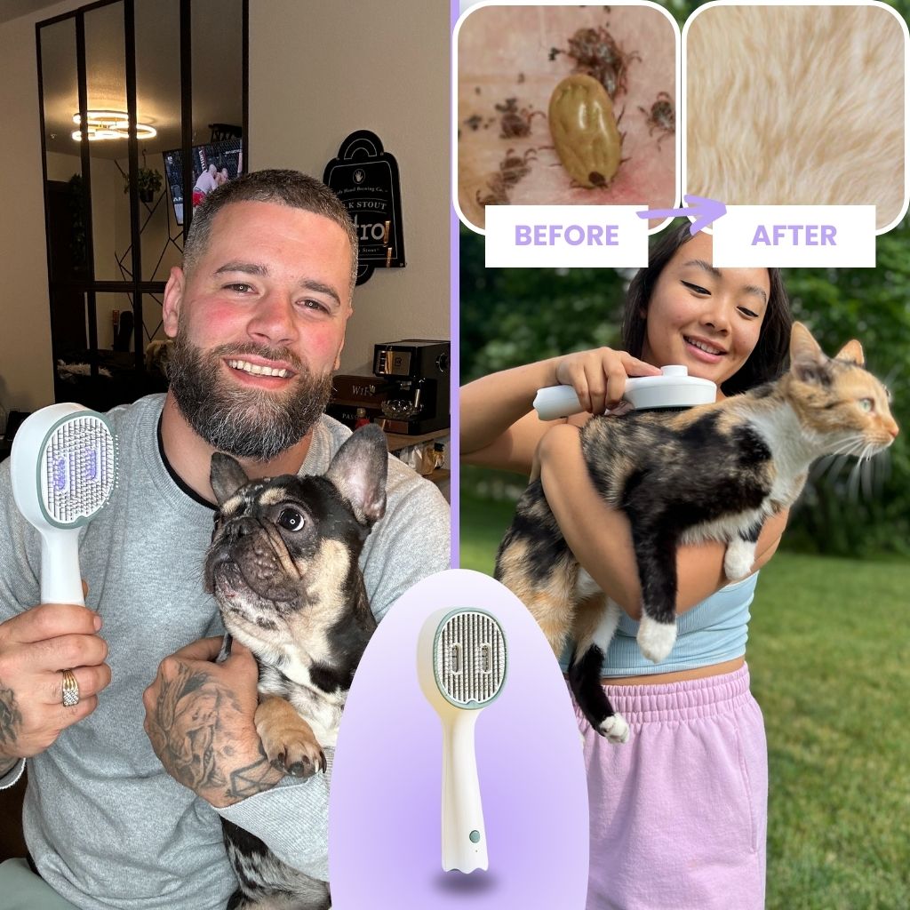 LuxeGlow™ - UV PET GROOMER