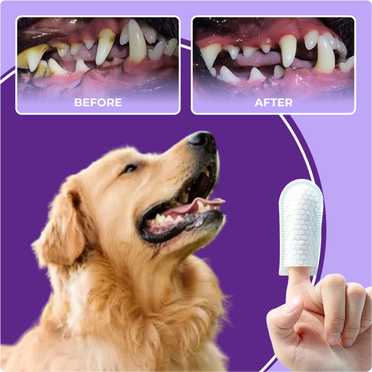 BRUSHY™ - Dog Dental Cleaning Finger Wipes